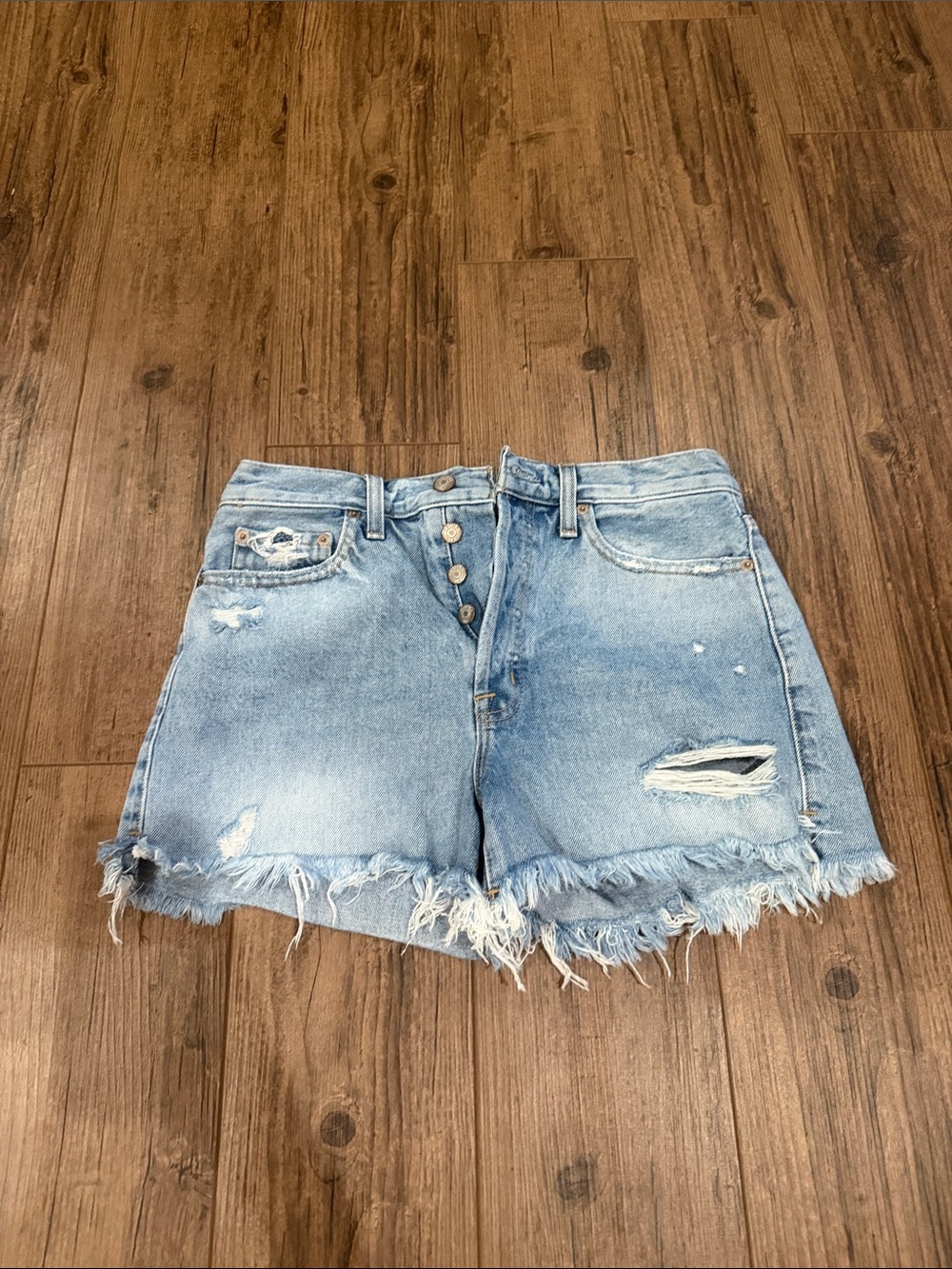 pistola Light Wash Distressed Denim Shorts